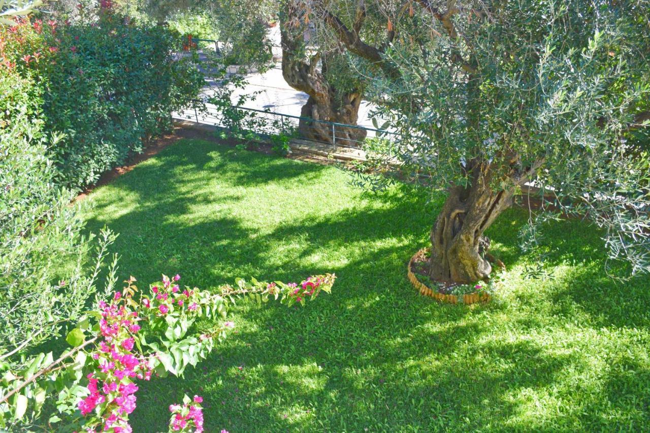 Pebbles And Sea At Barbati With Shared Pool Apartment Bagian luar foto