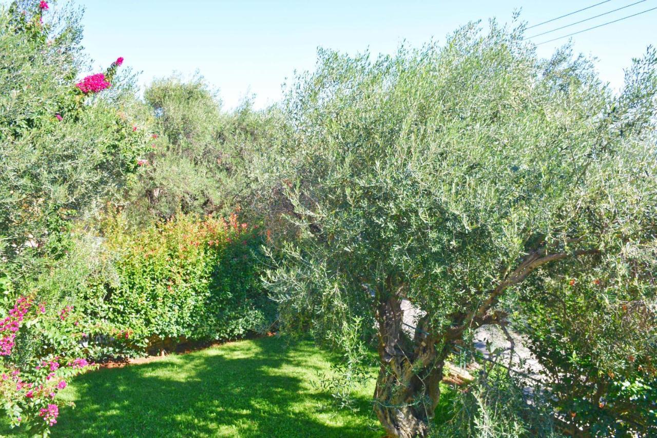 Pebbles And Sea At Barbati With Shared Pool Apartment Bagian luar foto